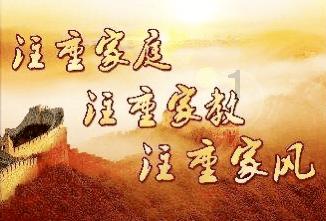 蔬菜基地 收割忙